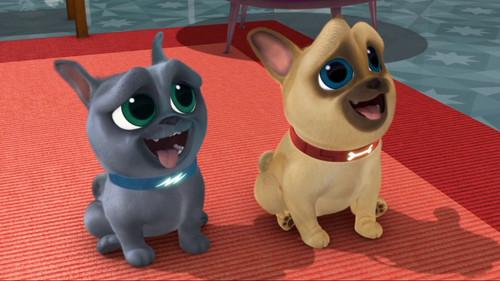 Puppy Dog Pals Season 1 Episode 26 - The Coolest Dogs In Town