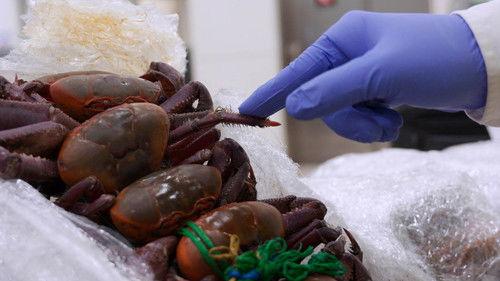 Border Control: Spain Season 5 Episode 1 - Episode 1