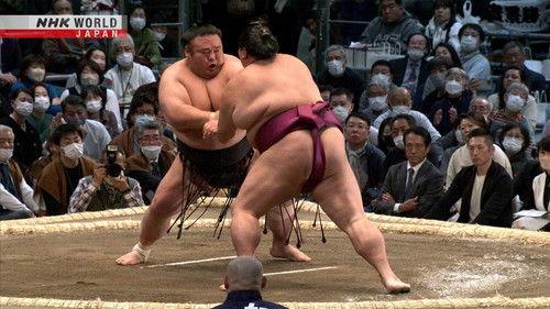 GRAND SUMO Highlights Season 16 Episode 6 - Day 6