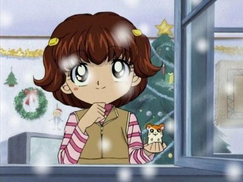 Hamtaro Season 1 Episode 25 - Merry Christmas!