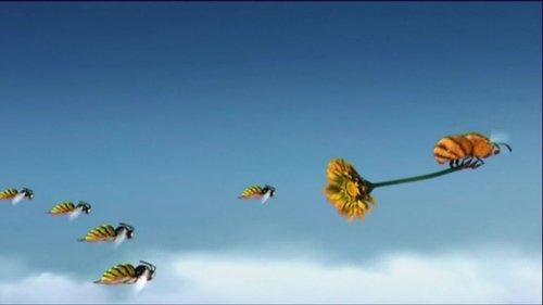 Minuscule: The Private Life of Insects Season 1 Episode 3 - Wasp Belle