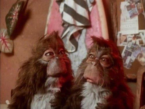 Background image for Endangered Species