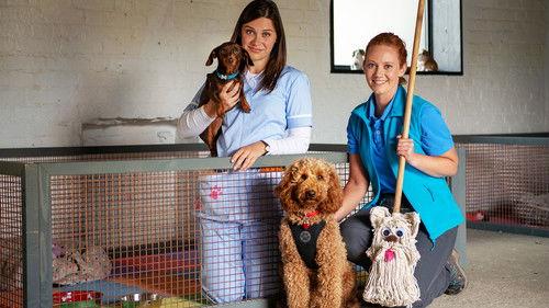 Waffle the Wonder Dog Season 3 Episode 12 - Waffle and Pepper