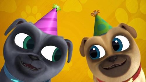 Puppy Dog Pals Season 1 Episode 49 - Bingo's and Rolly's Birthday