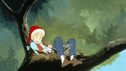 The Wonderful Adventures of Nils Season 1 Episode 38 - Lapland, land where the sun never sets