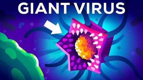 Kurzgesagt - In a Nutshell Season 9 Episode 11 - This Virus Shouldn't Exist (But it Does)