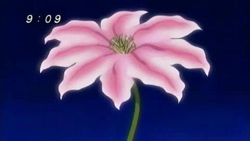 Zatch Bell! Season 1 Episode 19 - The Dark Lord of the Cursed Castle