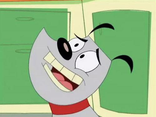 Poochini Season 1 Episode 13 - Squeaky Fromage / Puppy Obey / Christmas Tree