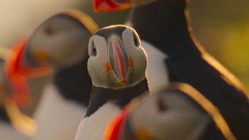 Our Oceans Season 1 Episode 3 - Atlantic Ocean