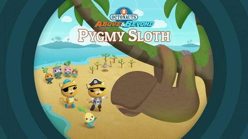 Octonauts: Above & Beyond Season 2 Episode 10 - Pygmy Sloths
