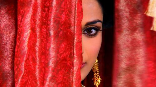 Background image for Shelter in a potter's house