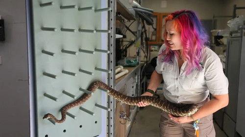 Taronga: Who's Who In The Zoo Season 3 Episode 6 - Feeding the Zoo