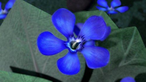 DreamWorks Dragons Season 1 Episode 9 - Dragon Flower