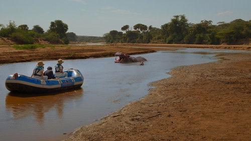 Jane Season 3 Episode 1 - Hippopotamus amphibius
