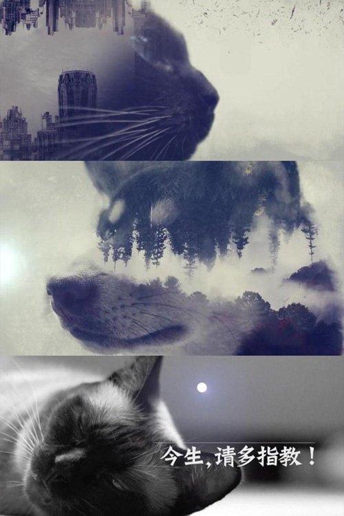 今生,请多指教 poster