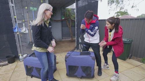 Background image for Episode 7