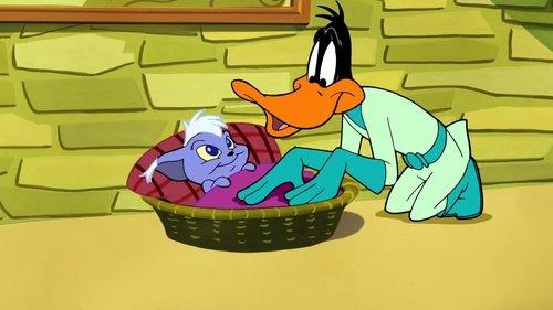 Duck Dodgers Season 2 Episode 3 - Pet Peeved