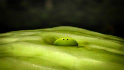 Minuscule: The Private Life of Insects Season 1 Episode 17 - Lettuce