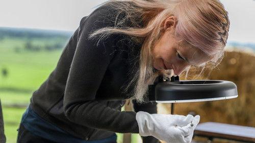 Digging for Britain Season 9 Episode 4 - Midlands