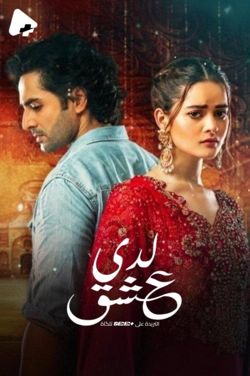 Ishq Hai poster