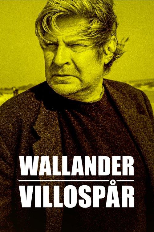 Wallander: Sidetracked poster