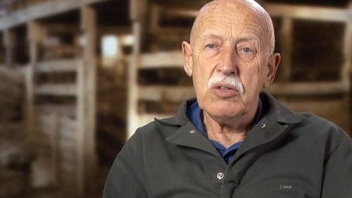 The Incredible Dr. Pol Season 13 Episode 11 - You Can't Handle the Tooth