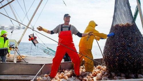 Dirty Jobs Season 10 Episode 2 - Jellyballer / Epoxy Installer