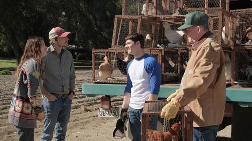 Background image for The Return of Short Shorts