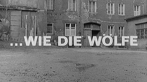 Background image for Episode 7