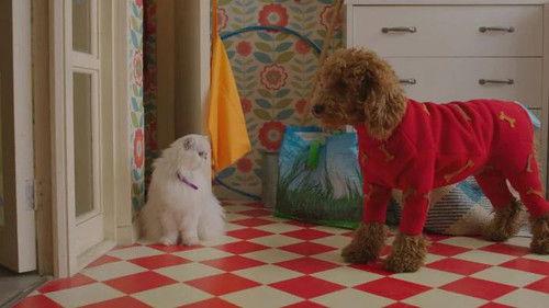 Background image for Waffle Is Unwell