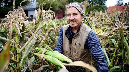 Frank & Kastaniegaarden Season 28 Episode 20 - Corn Harvest and Sea Buckthorn
