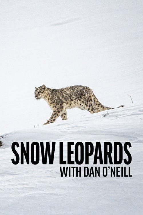Snow Leopards with Dan O'Neill poster