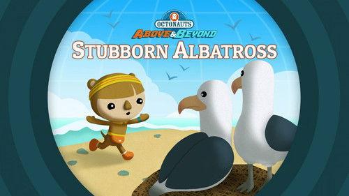 Octonauts: Above & Beyond Season 2 Episode 2 - Stubborn Albatross