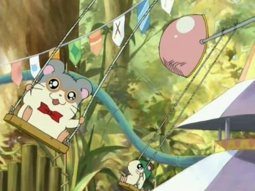 Hamtaro Season 1 Episode 19 - Panda's Ham-Ham Fun Park!