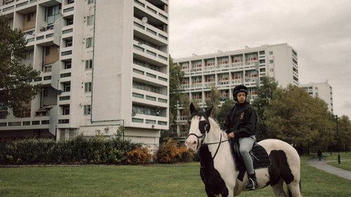 Background image for Ebony Horse Club