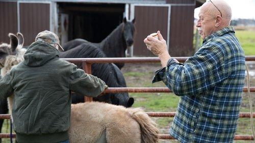 The Incredible Dr. Pol Season 5 Episode 7 - Talk Turkey to Me