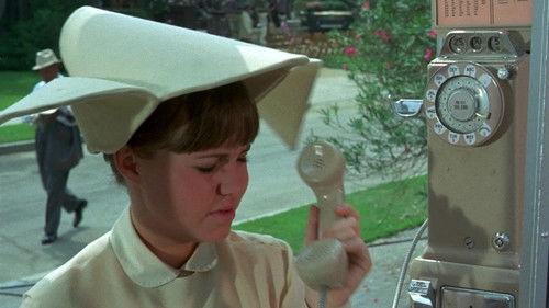 The Flying Nun Season 2 Episode 15 - A Star is Reborn