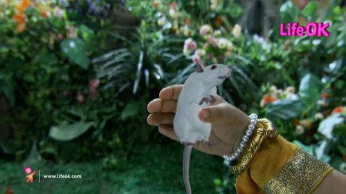 Devon Ke Dev...Mahadev Season 8 Episode 19 - Mahadev enlightens Parvati