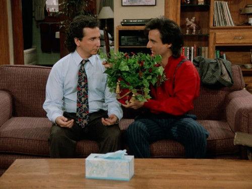 Perfect Strangers Season 6 Episode 15 - Little Apartment of Horrors
