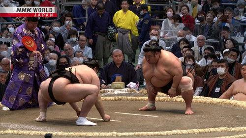 GRAND SUMO Highlights Season 16 Episode 4 - Day 4