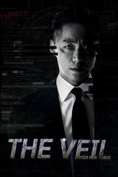 The Veil poster