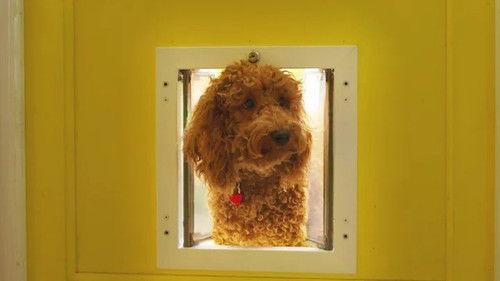 Background image for Waffle So Far