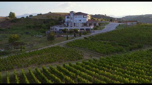 Background image for Cabernet Franc