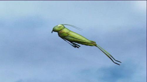 Minuscule: The Private Life of Insects Season 1 Episode 11 - Hiccups