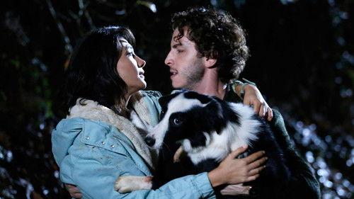 Şahin Tepesi Season 1 Episode 3 - Episode 3