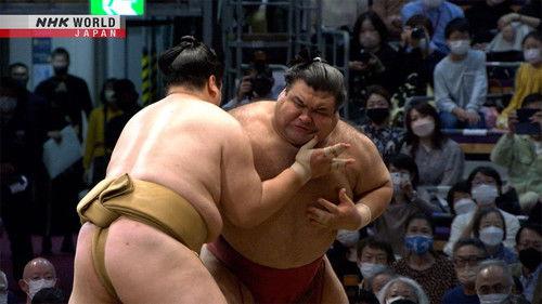 GRAND SUMO Highlights Season 14 Episode 14 - Day 14