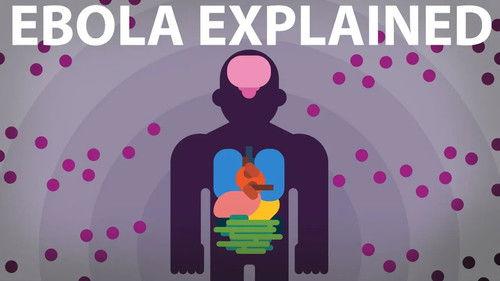 Kurzgesagt - In a Nutshell Season 2 Episode 13 - The Ebola Virus Explained — How Your Body Fights for Survival