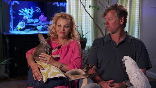 Background image for Empty Nest