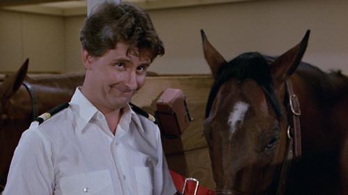 The Love Boat Season 4 Episode 7 - Secretary to the Stars/Julie's Decision/The Horse Lover/Gopher and Isaac Buy a Horse