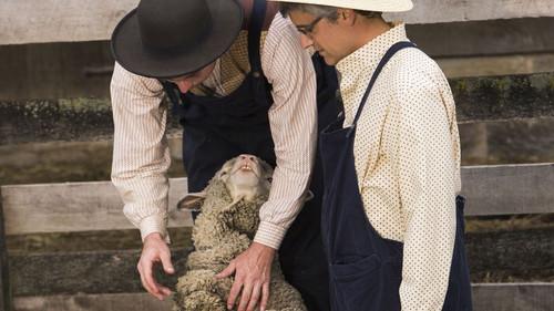 Background image for Robot Birds